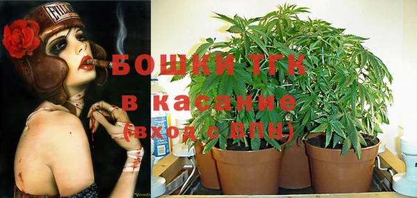 винт Богородицк